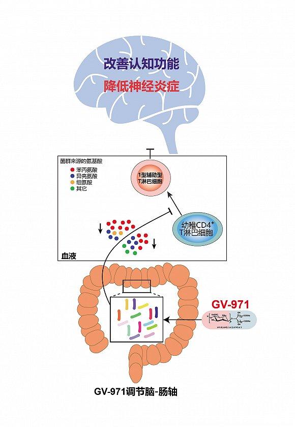 中國原創阿爾茨海默病新藥甘露特鈉膠囊獲準上市，上海再結生物醫藥創新碩果